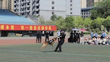 beat365承办南宁市江南区群益小学研学活动